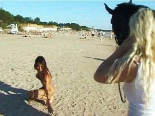 Nackte Teenager Ein Pferd Am Strand Reiten Dreht Köpfe