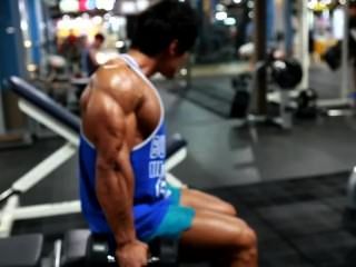 Asiatische Muskel