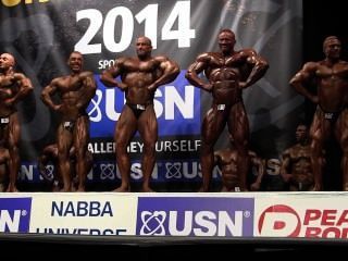 Musclebulls Nabba Universum 2014 Profis - Vergleich 1