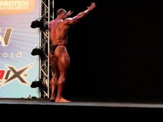Pro Musclebull Alex Shabunia Grand-prix-haus Pro 2014