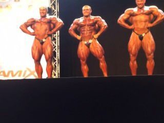 Pro Musclebulls Fedorov, Lesukov, Shabunia Grand-prix-haus Pro 2014